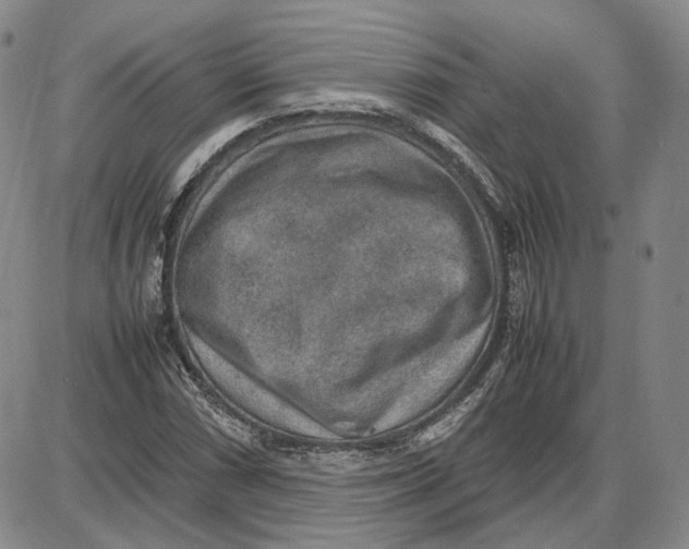 X0000087641066200705241234