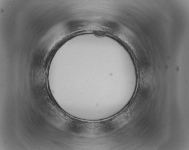 X0000087641067200705241234