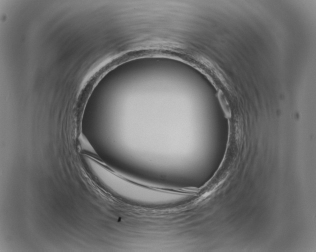 X0000087641069200705241234