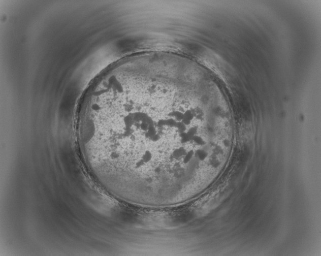 X0000087641071200705241234