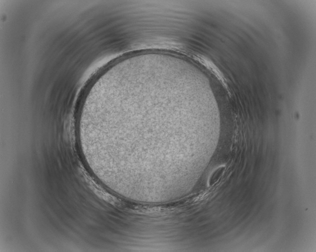 X0000087641072200705241234