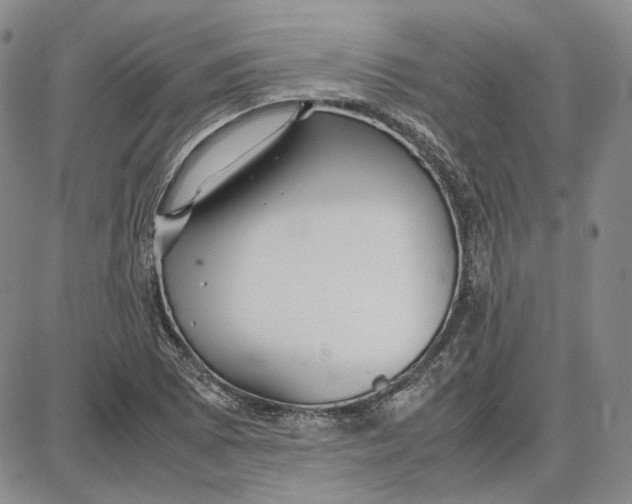 X0000087641073200705241234