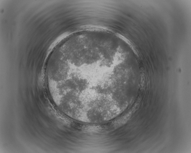 X0000087641074200705241234