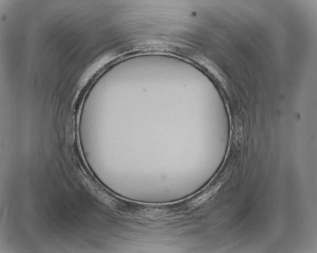 X0000087641075200705241234