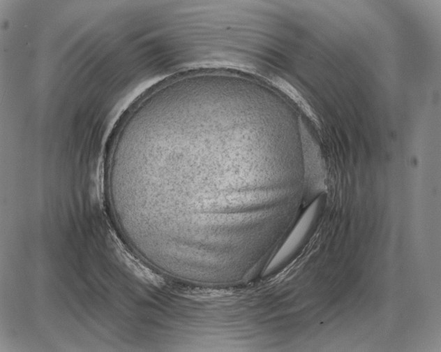 X0000087641076200705241234