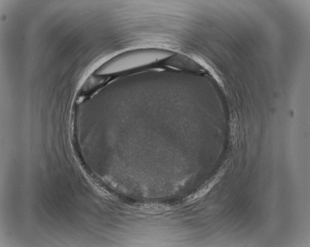 X0000087641077200705241234