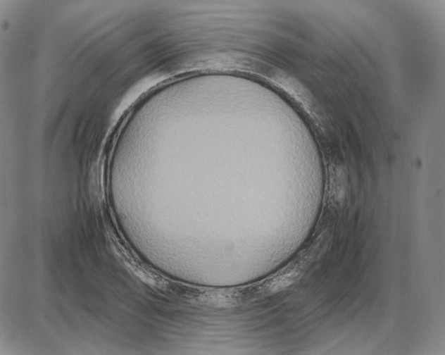 X0000087641078200705241234