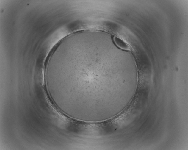 X0000087641079200705241234