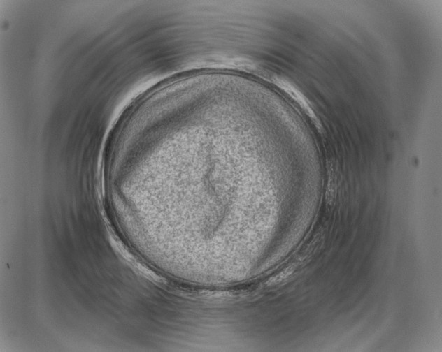 X0000087641080200705241234