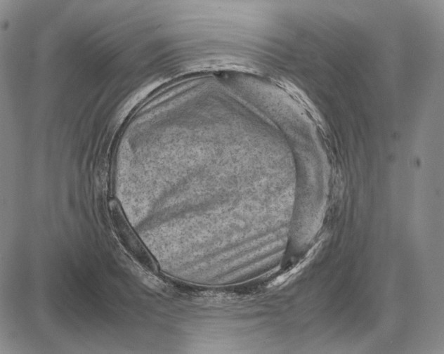 X0000087641081200705241234