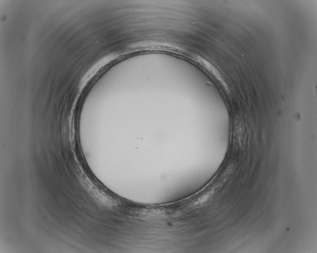 X0000087641082200705241234