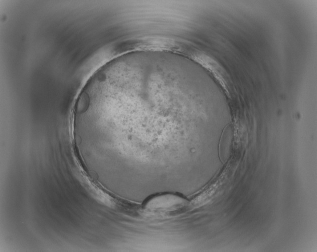 X0000087641083200705241234