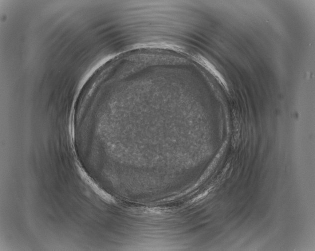 X0000087641084200705241234