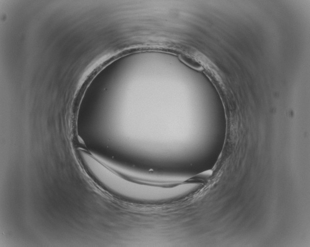 X0000087641085200705241234