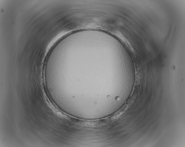 X0000087641086200705241234