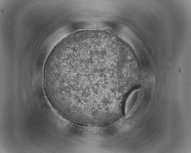 X0000087641087200705241234