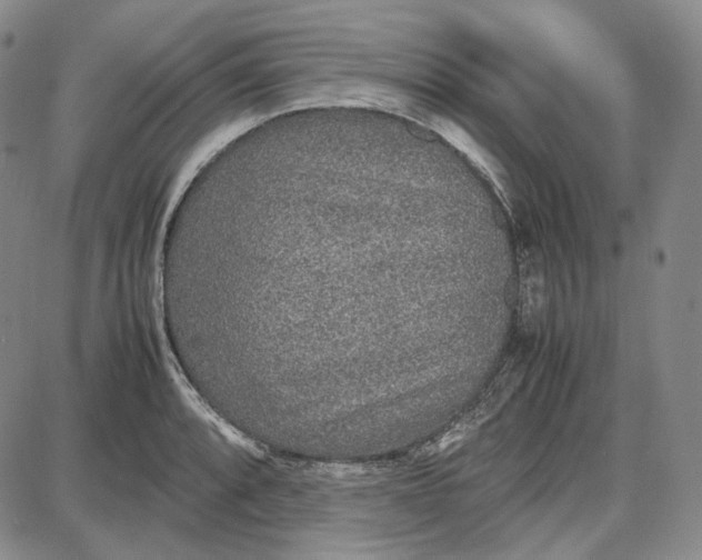 X0000087641088200705241234