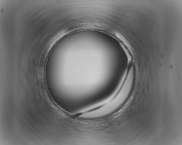 X0000087641089200705241234