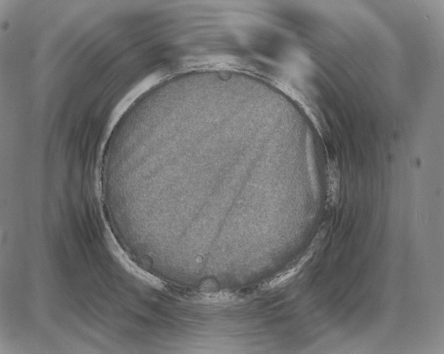 X0000087641090200705241234