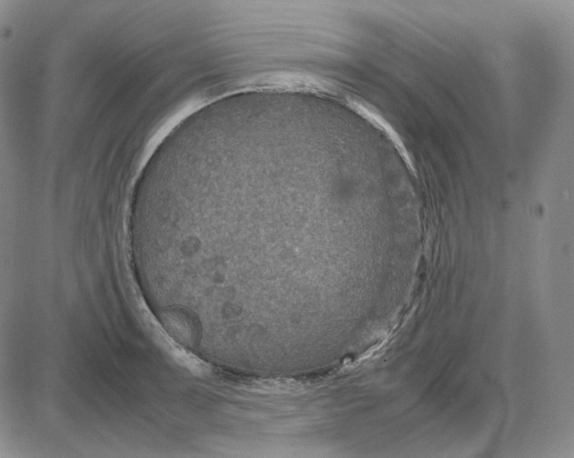 X0000087641091200705241234