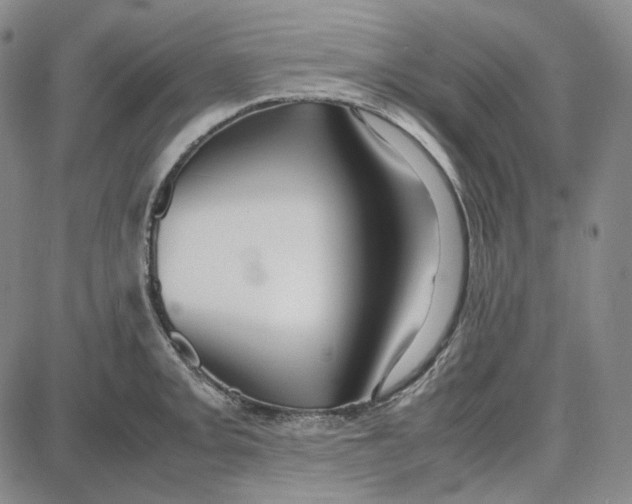 X0000087641093200705241234