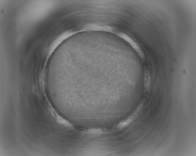 X0000087641094200705241233