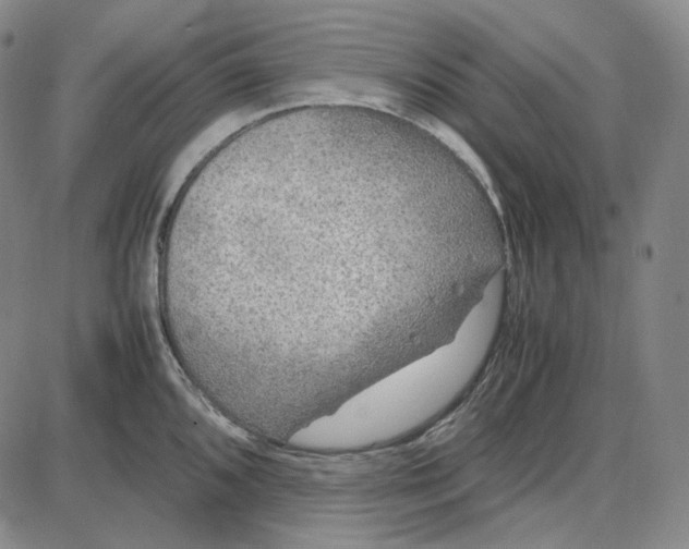 X0000087641096200705241233