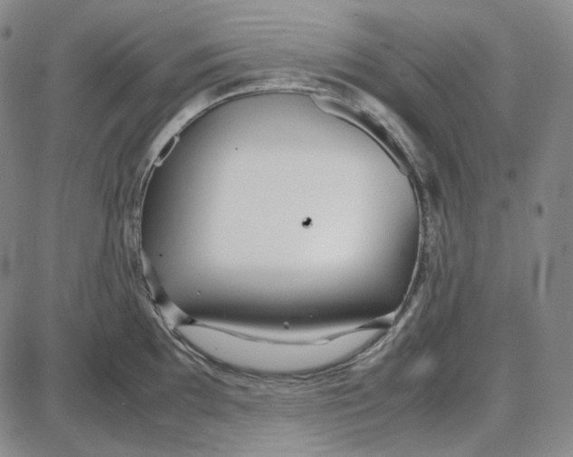 X0000087641097200705241233