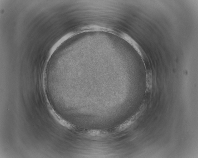 X0000087641098200705241233