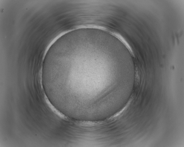 X0000087641100200705241233