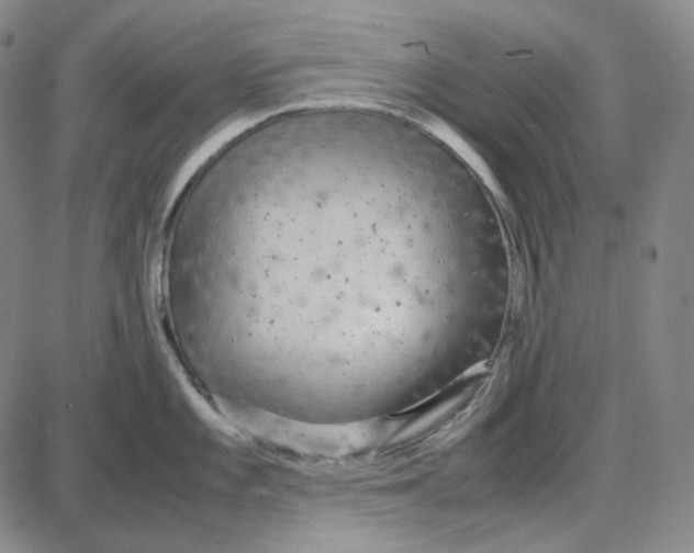 X0000087641101200705241233