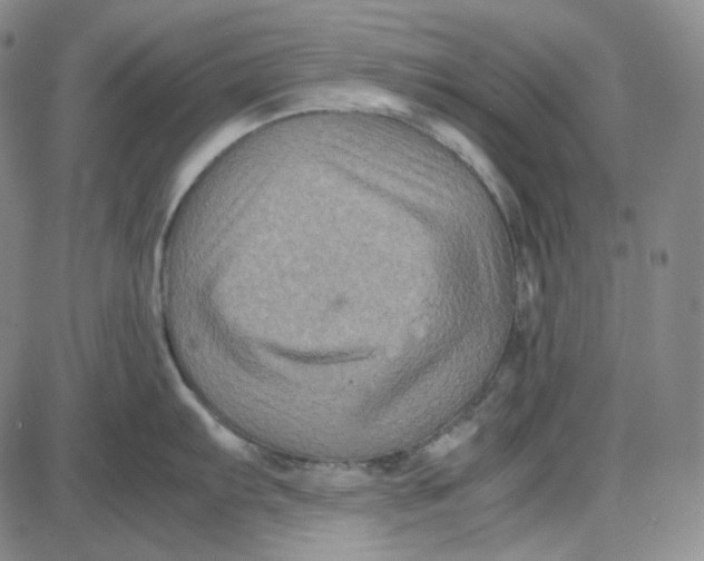 X0000087641103200705241233