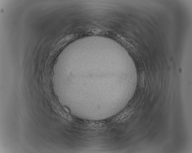 X0000087641105200705241233