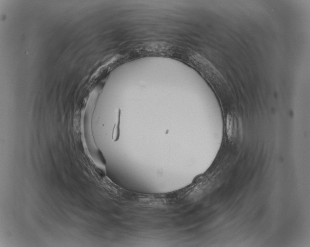 X0000087641107200705241233