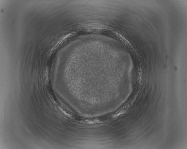 X0000087641108200705241233