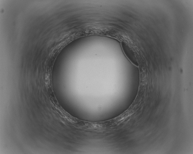 X0000087641109200705241233