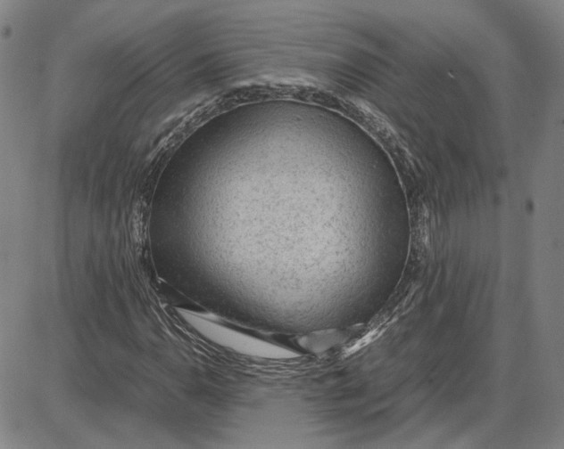 X0000087641110200705241233