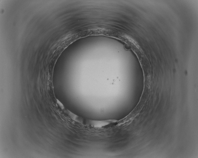 X0000087641111200705241233