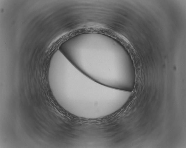 X0000087641112200705241233