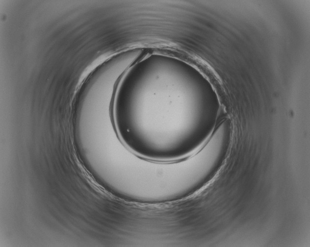 X0000087641114200705241233