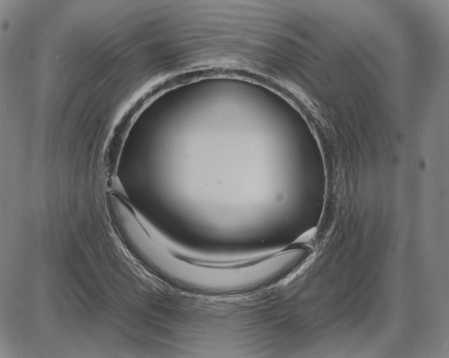 X0000087641118200705241233