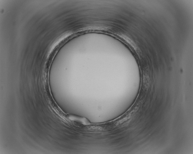 X0000087641119200705241233