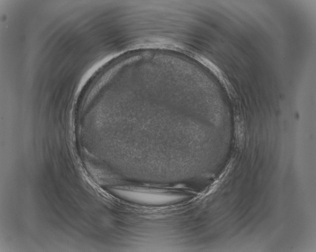 X0000087641120200705241233