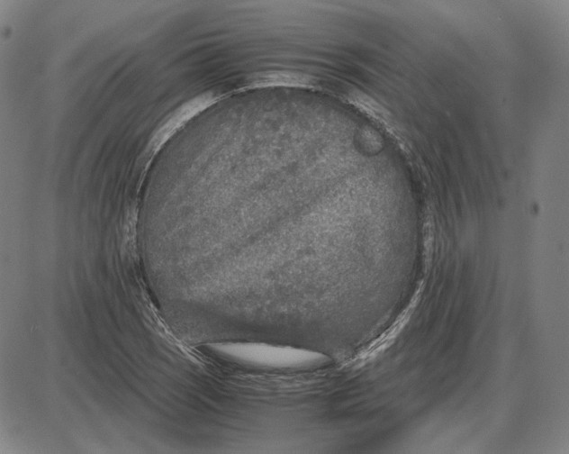 X0000087641121200705241233