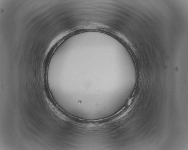 X0000087641122200705241233