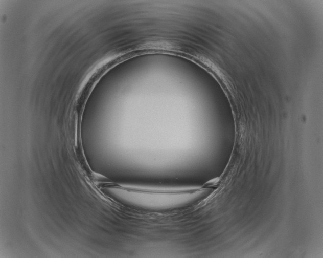 X0000087641123200705241233