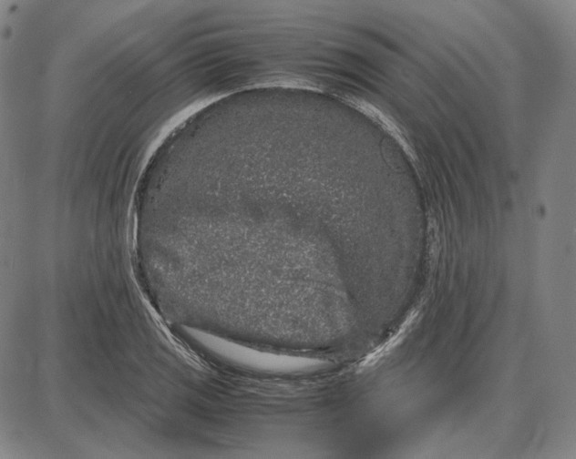 X0000087641125200705241233