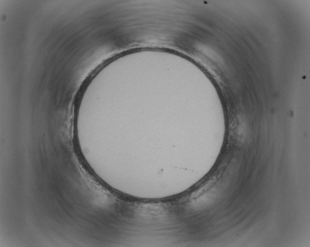 X0000087641126200705241233