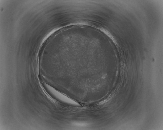 X0000087641127200705241233