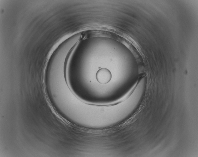 X0000087641128200705241233